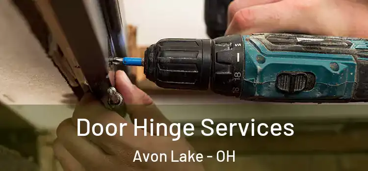 Door Hinge Services Avon Lake - OH