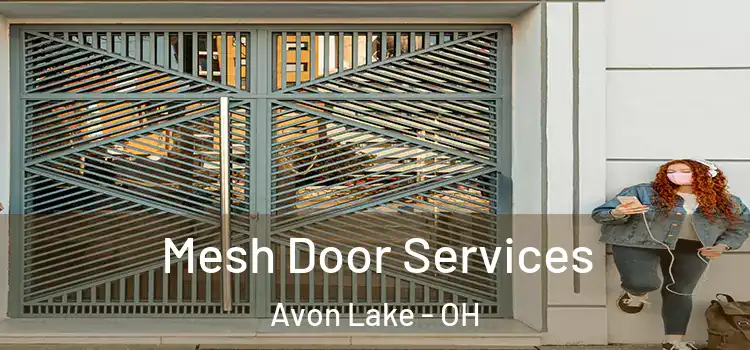 Mesh Door Services Avon Lake - OH